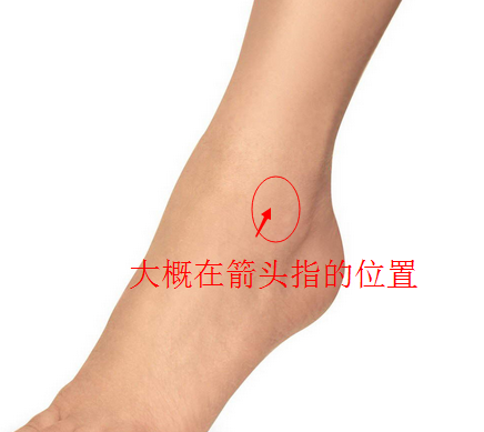 崴脚一周.今天发现脚踝外侧稍靠近脚背的地